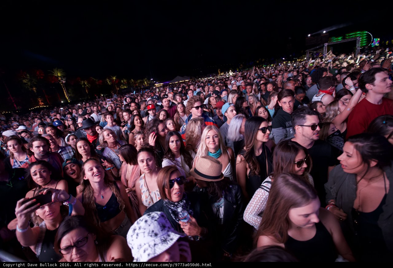 Night Sky Concert Crowd
