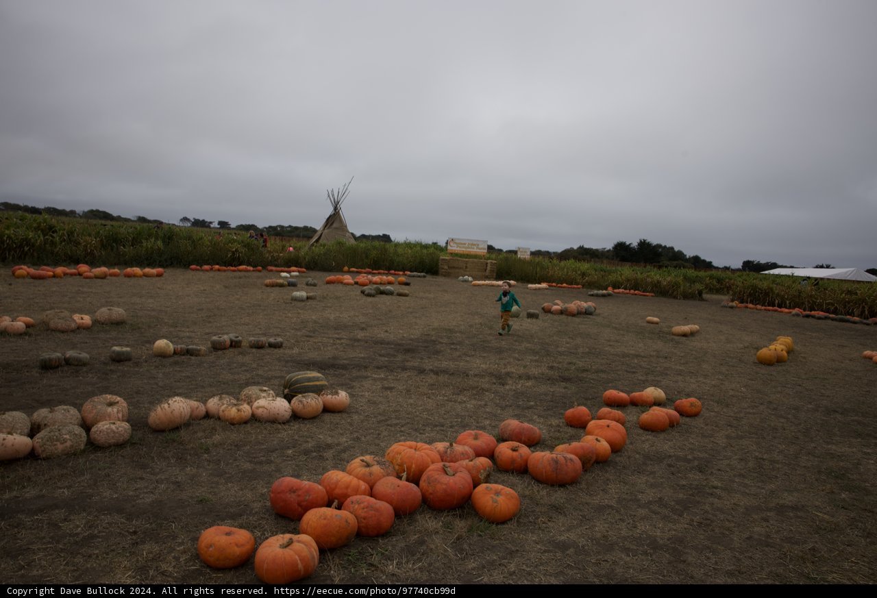 Harvest Day at Walnut Creek