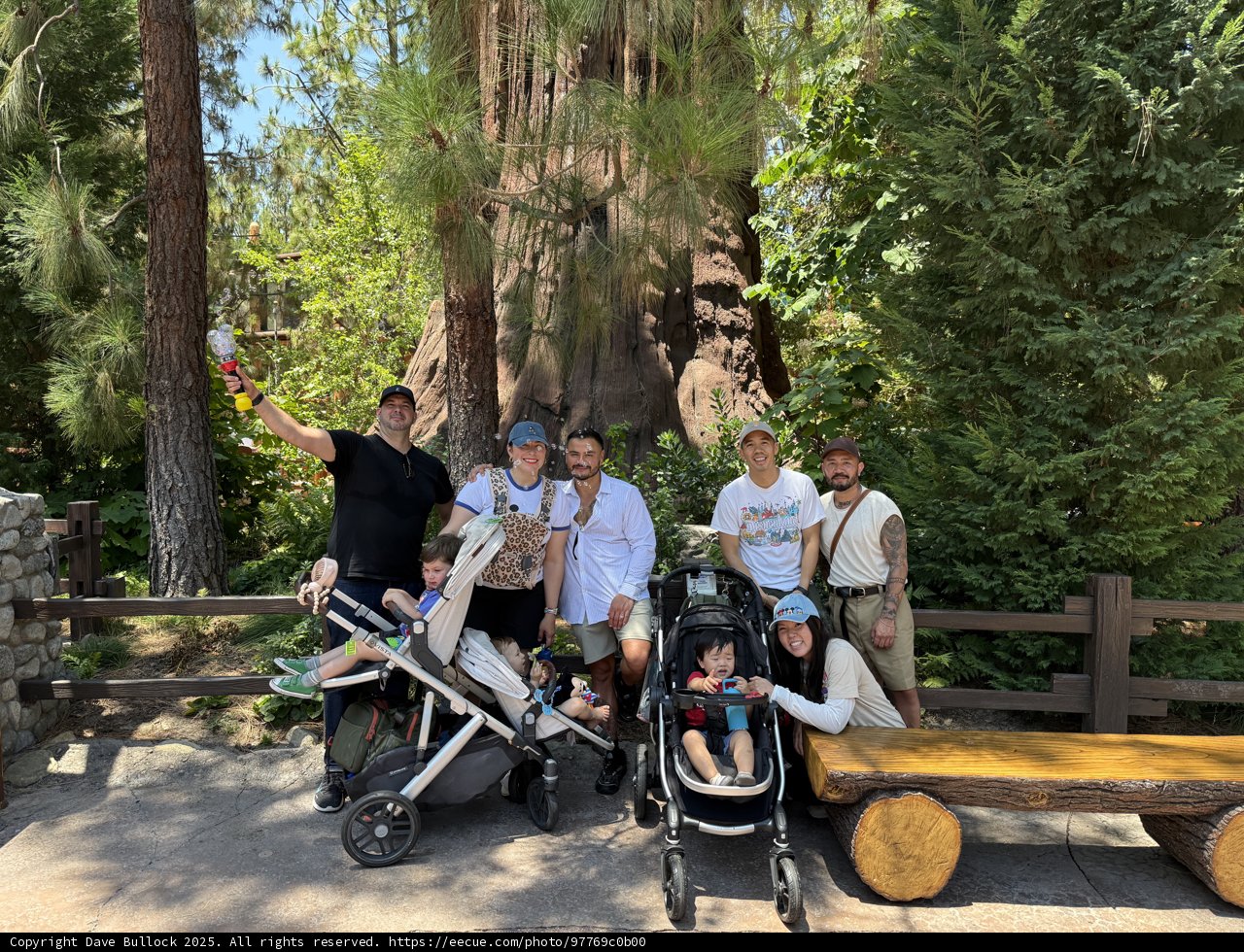 Summer Smiles Beneath the Sequoias