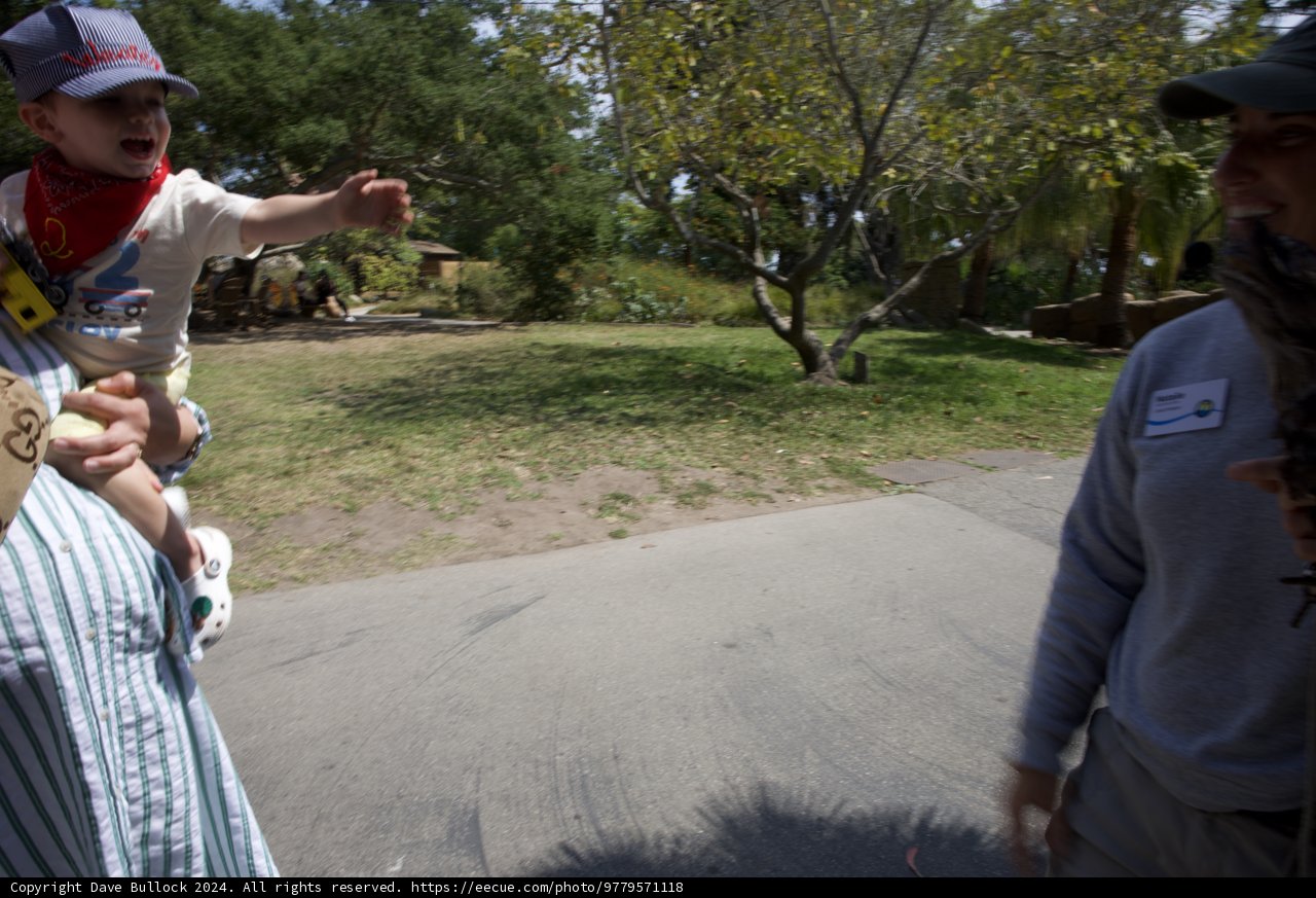 Wesley's Joyful Day in the Park