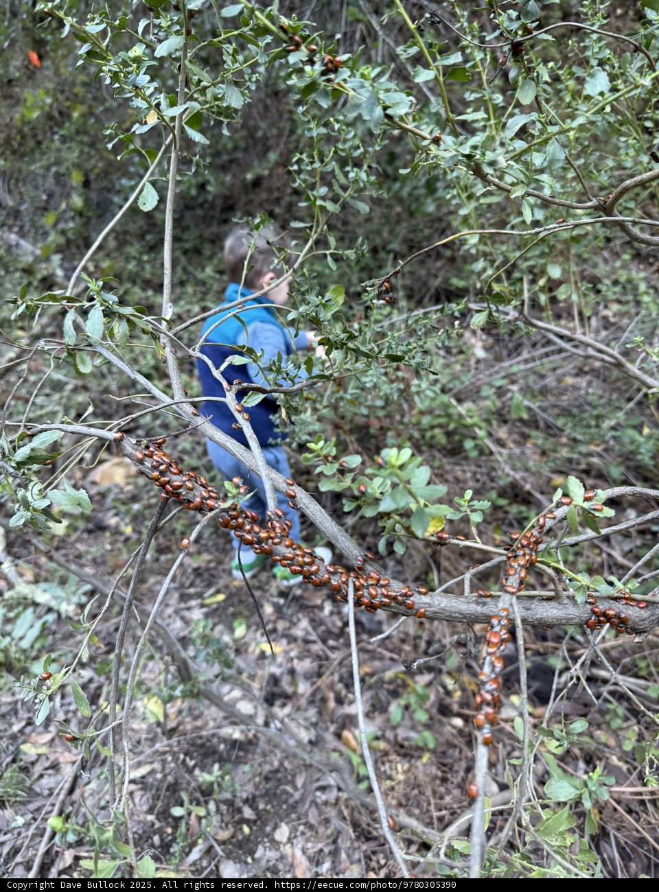 Unexpected Discoveries in Nature