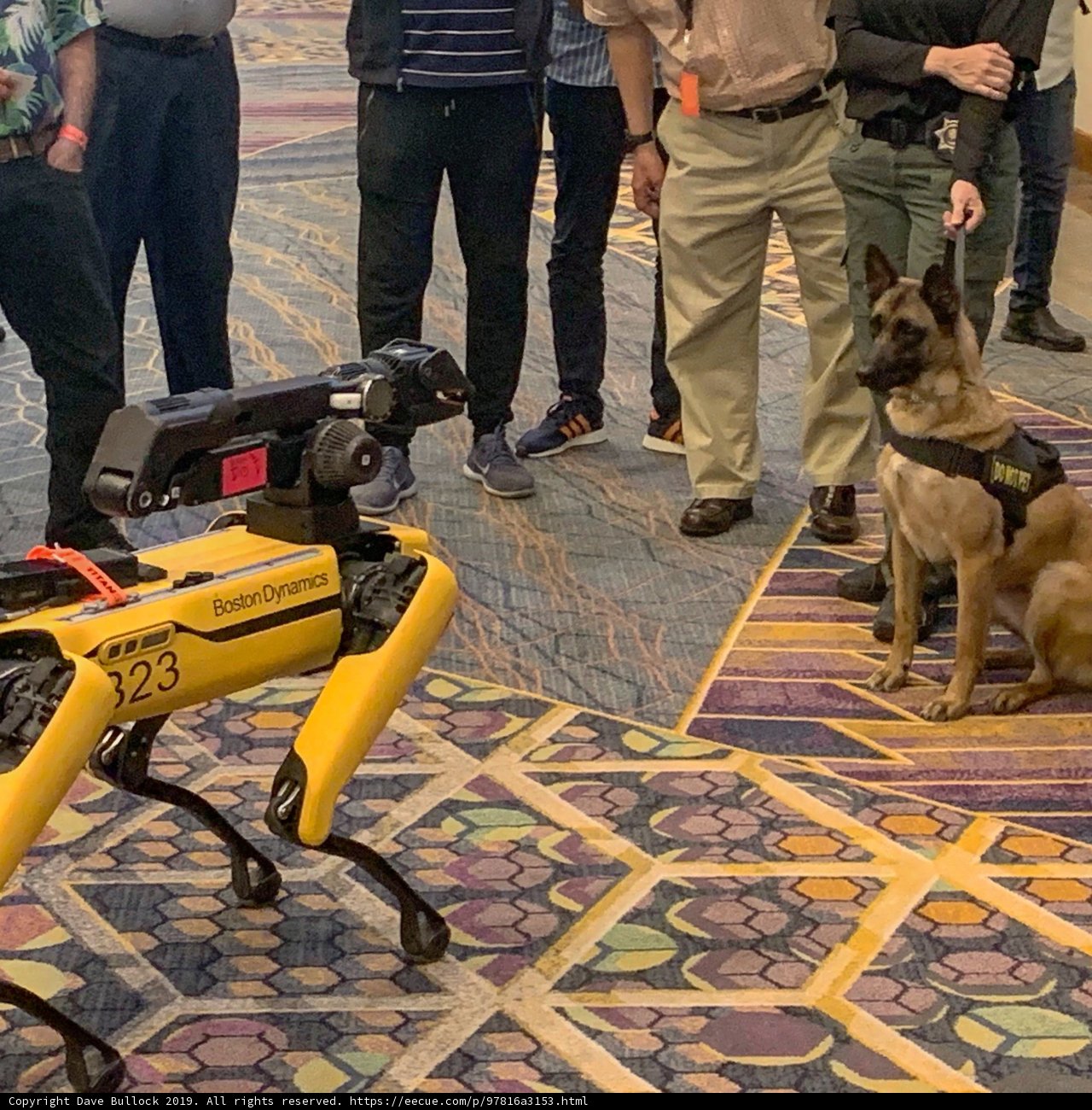 Man, Dog, and Robot in Las Vegas