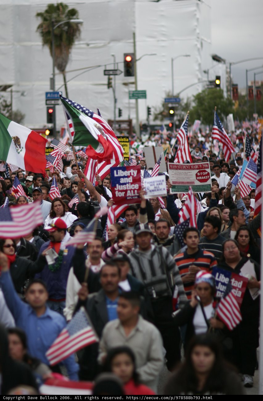 Patriotic Crowd
