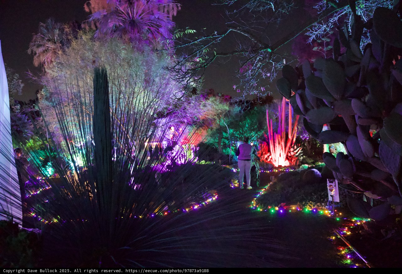 Enchanted Evening at Ruth Bancroft Garden