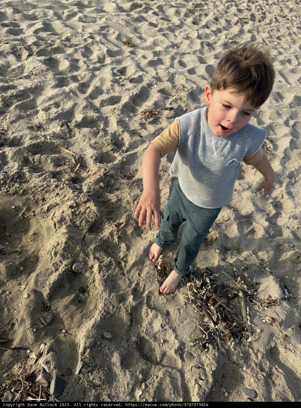 Sandy Adventures