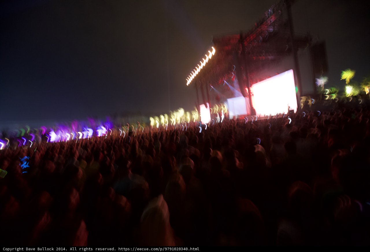 Nightlife Under the Stars