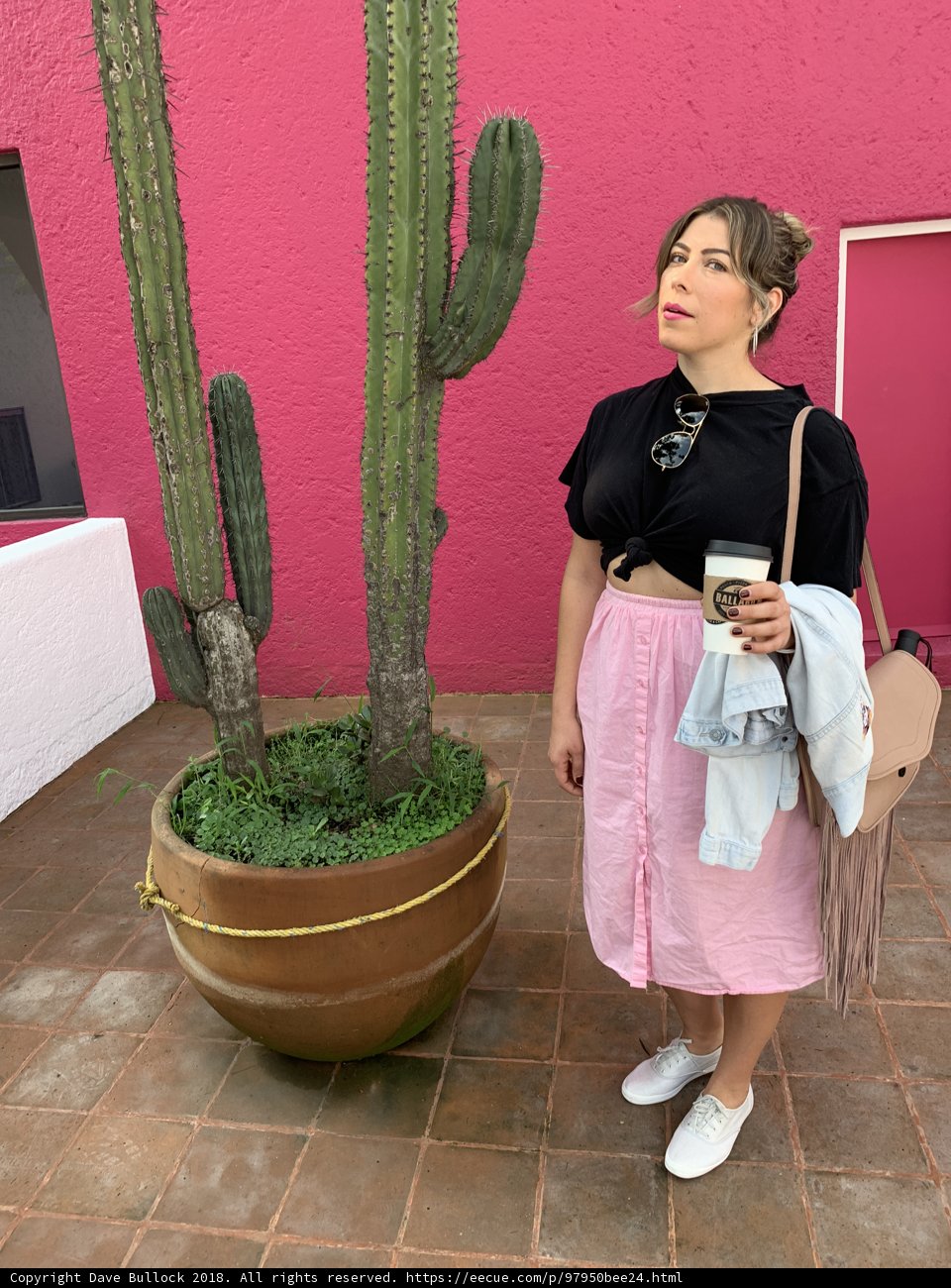 Pink Skirt and Cactus