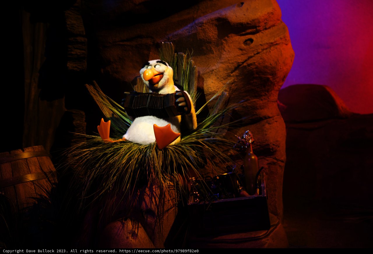 A Charming Stuffed Puffin at Disneyland