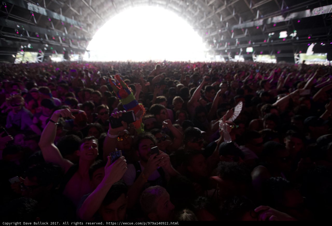 Rocking with the Crowd