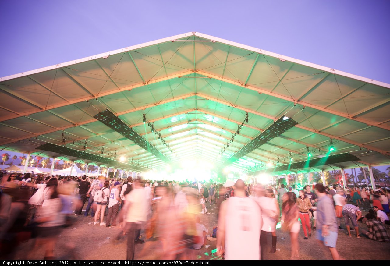 Music Festival Madness