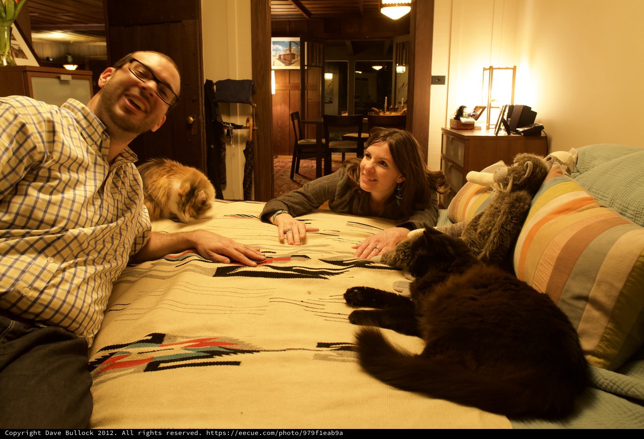 Couple Relaxing with Their Cats on Cozy Bed