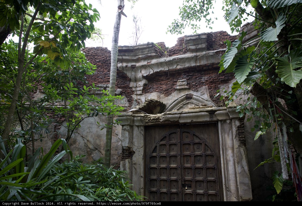 Jungle Gateway at Disneyworld Animal Kingdom, 2024