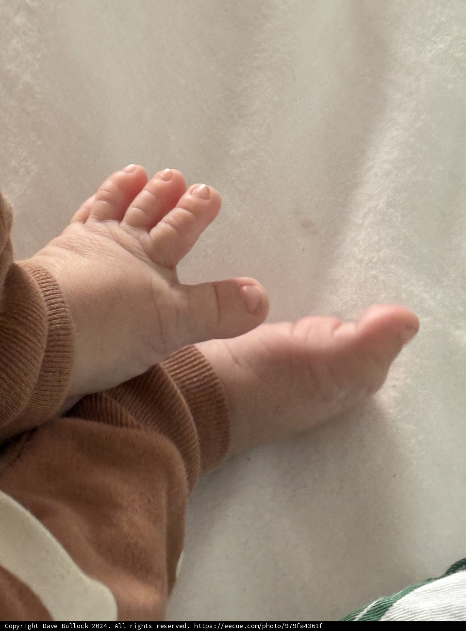 Tiny Toes and Little Fingers