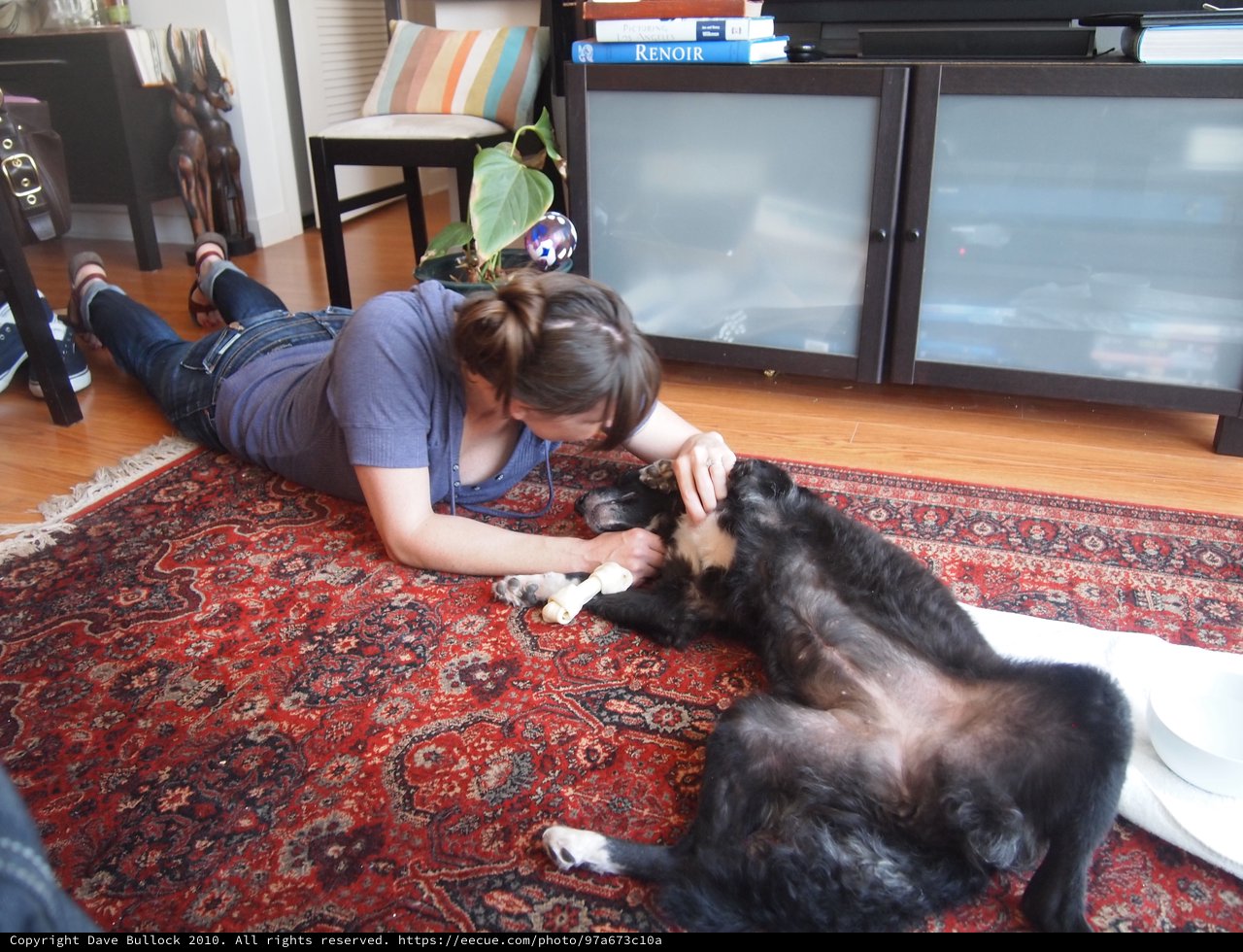 Woman Shares Tender Moment with Dog on Rug