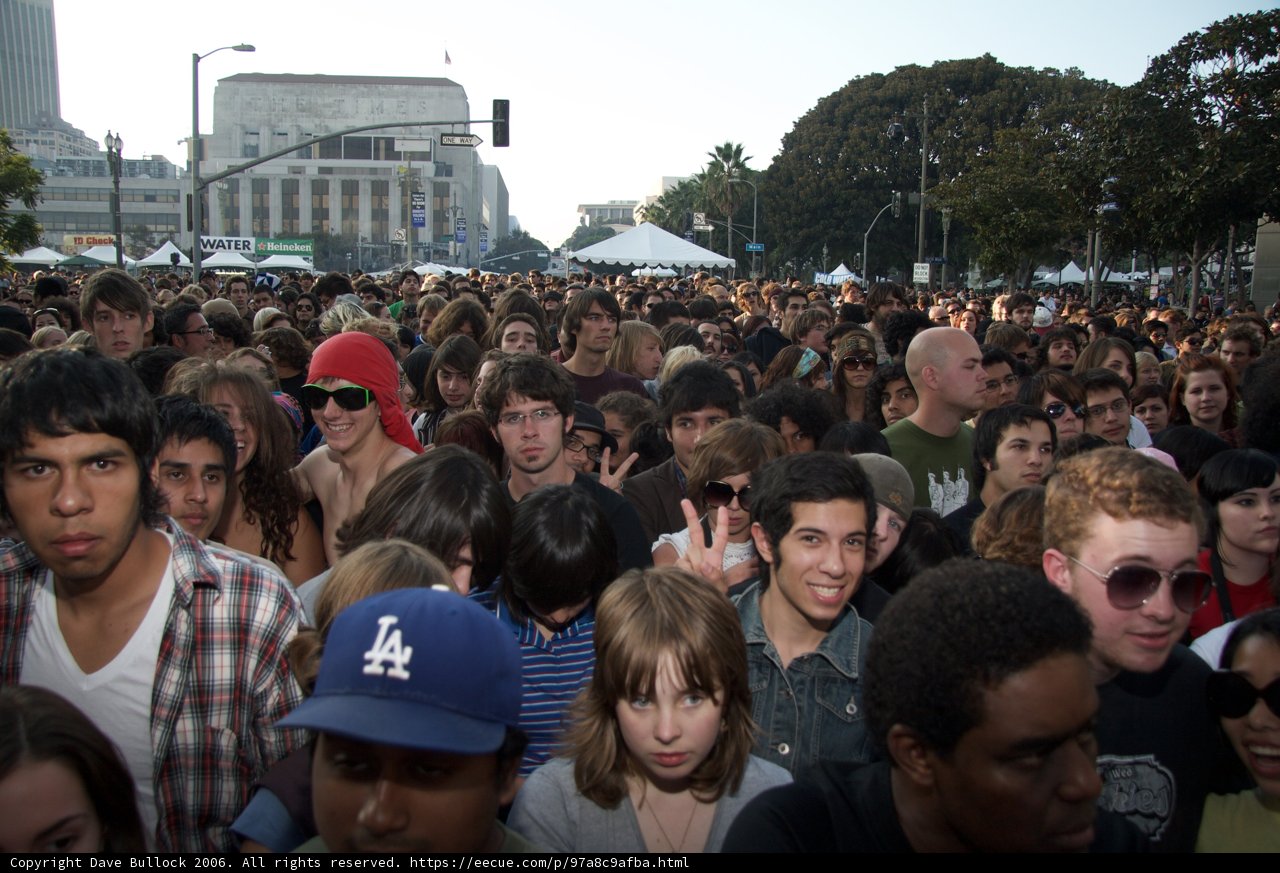 Music Festival Madness