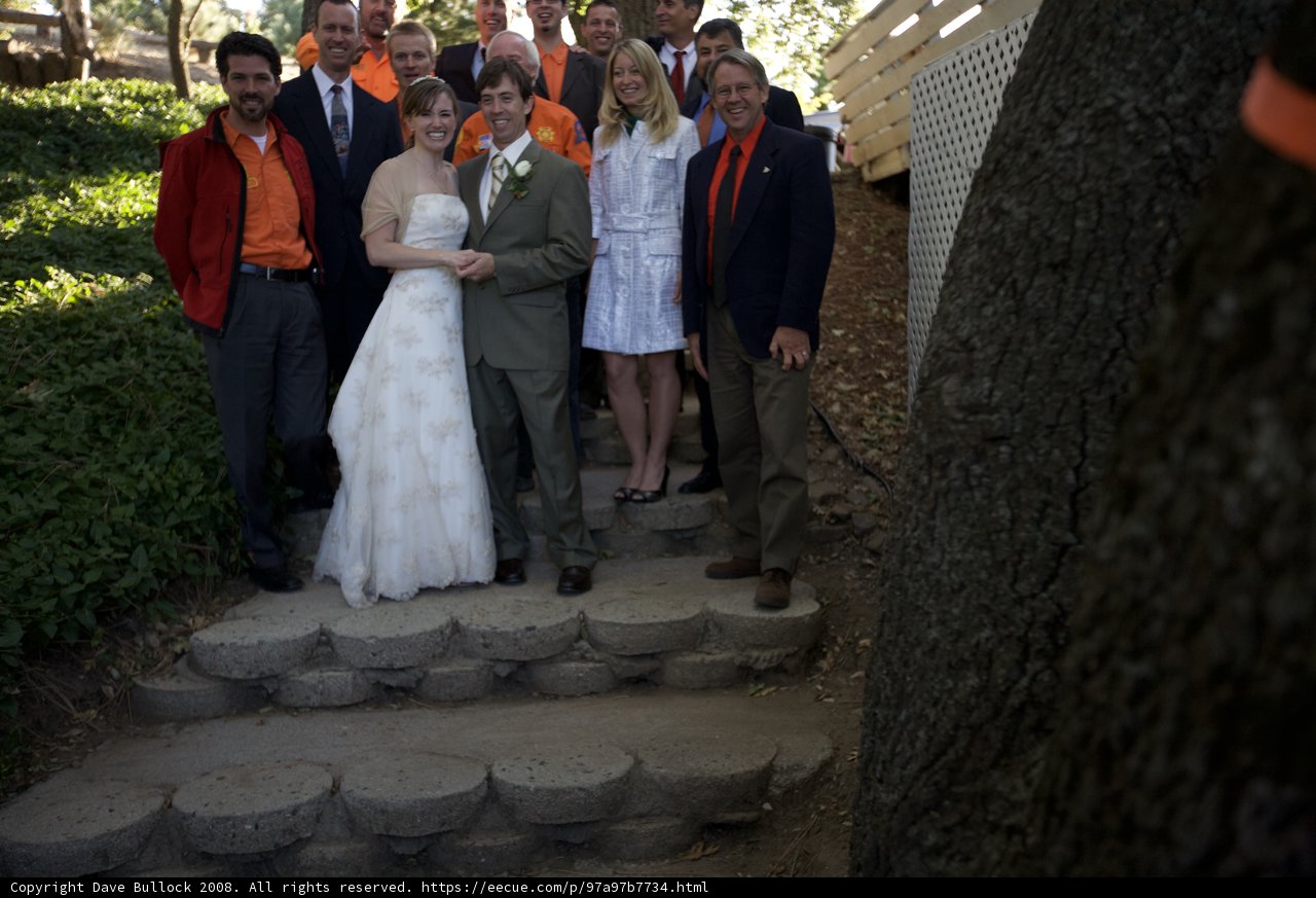 Wedding Party on the Stairs