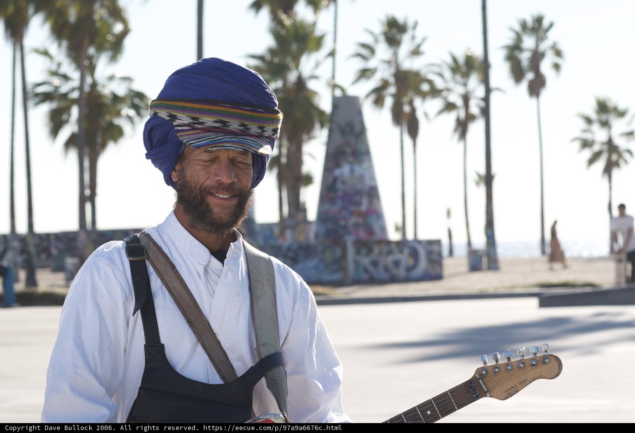 Musician in the Shade