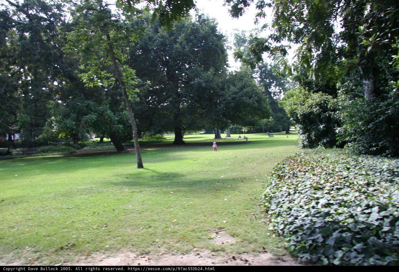 Serene Scene at the Park