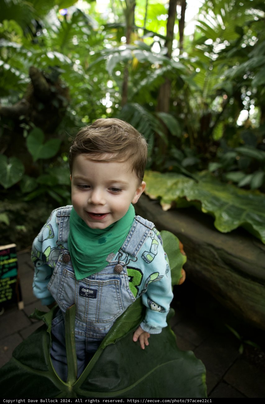 Embracing Nature: A Young Explorer at Golden Gate Park