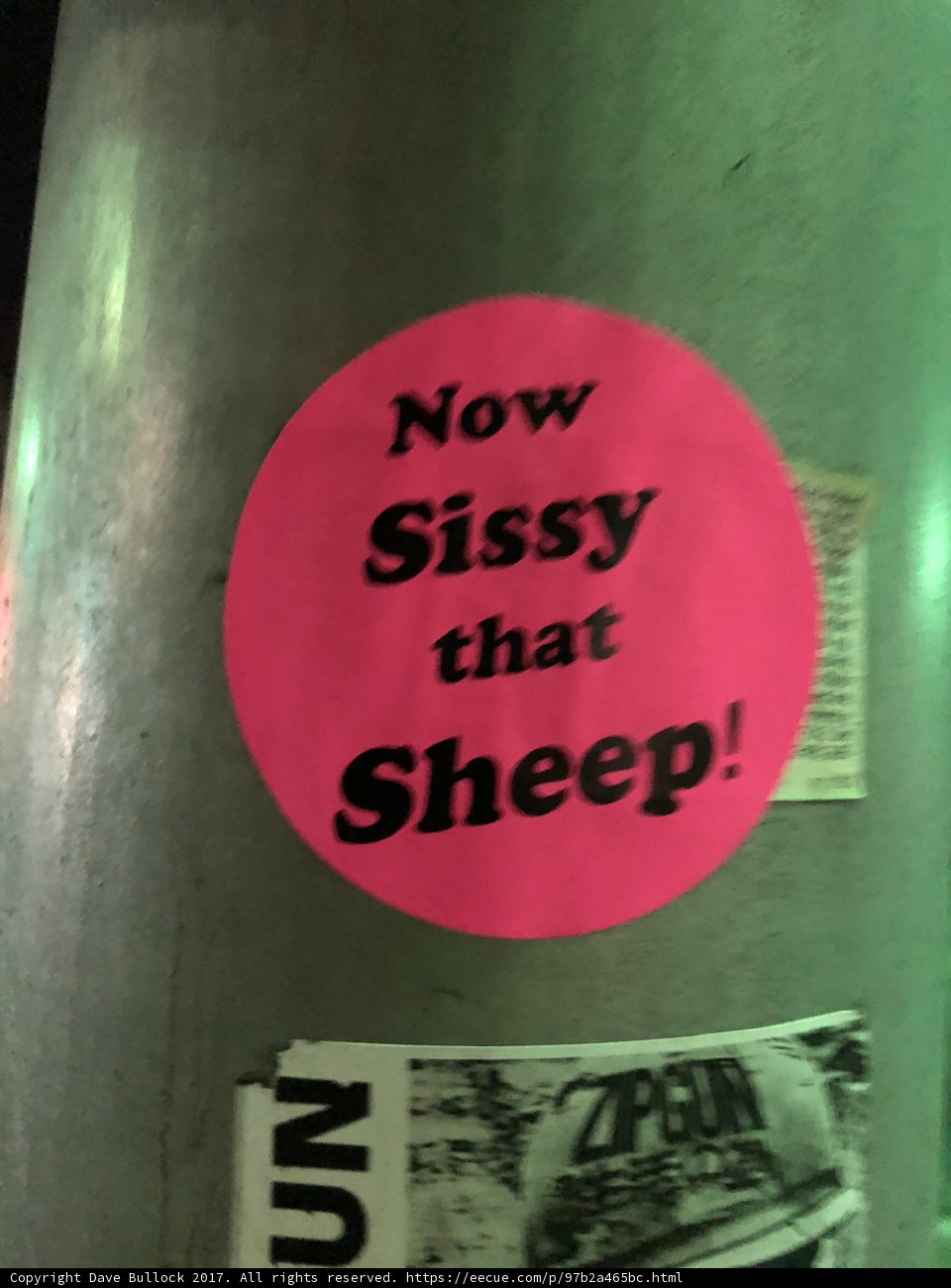 Bold Sticker Statement