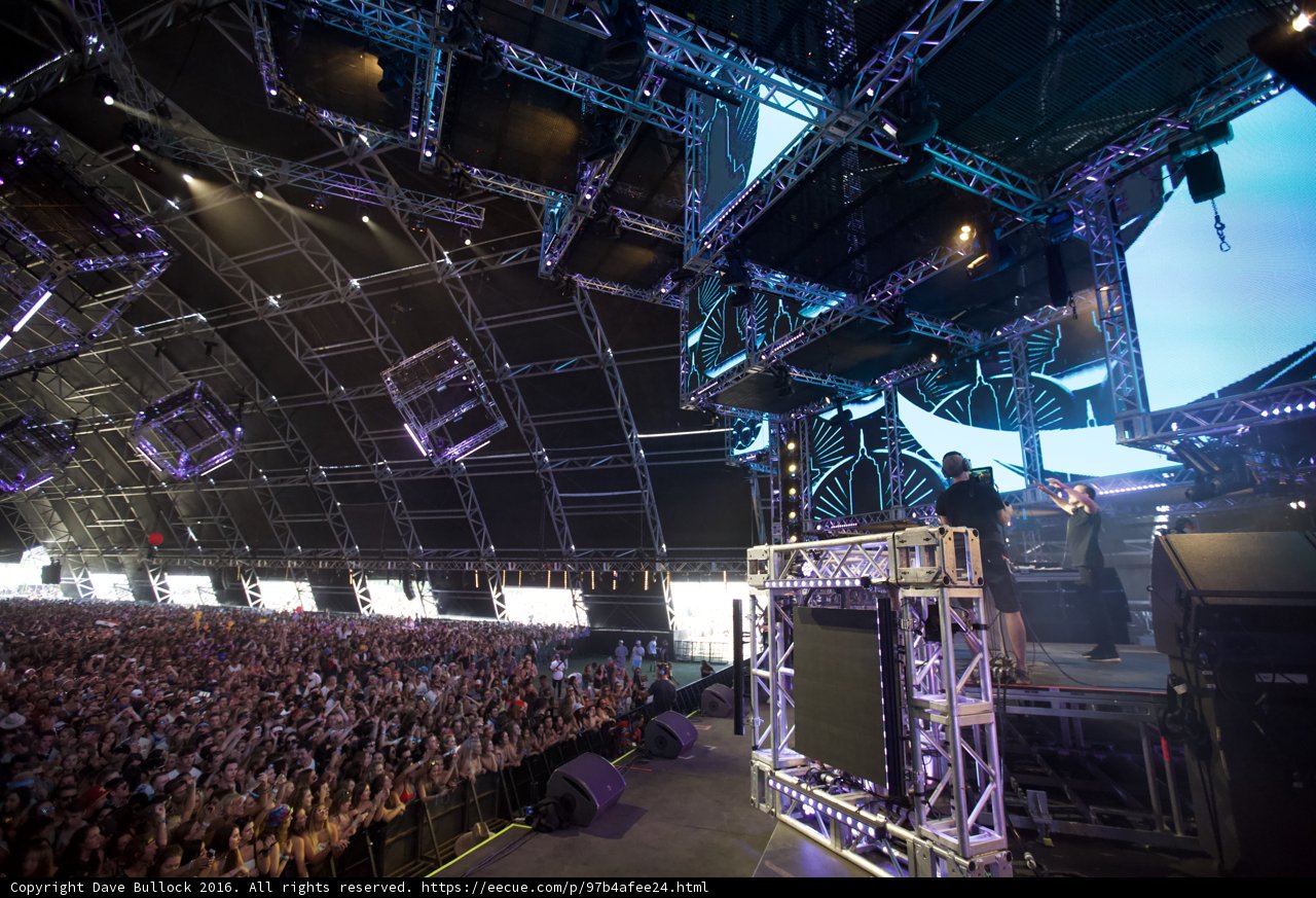 Coachella's Electric Crowd
