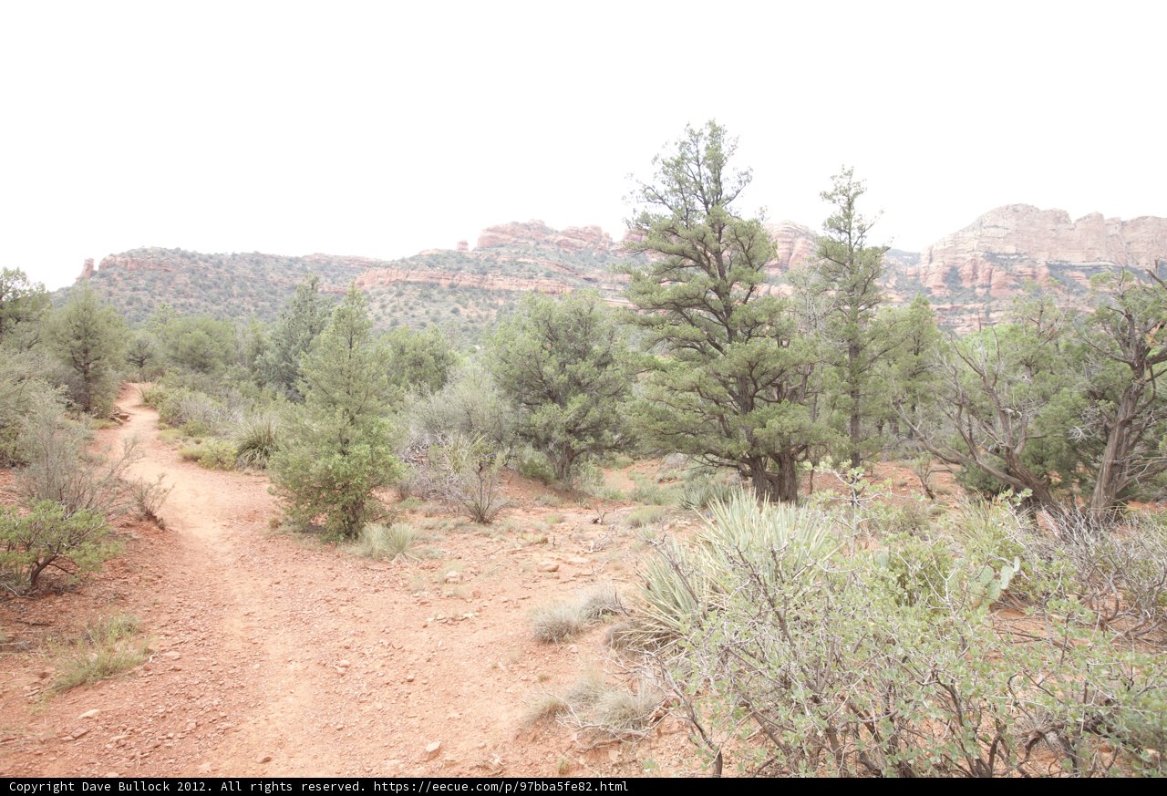 A Trail Through the Wilderness