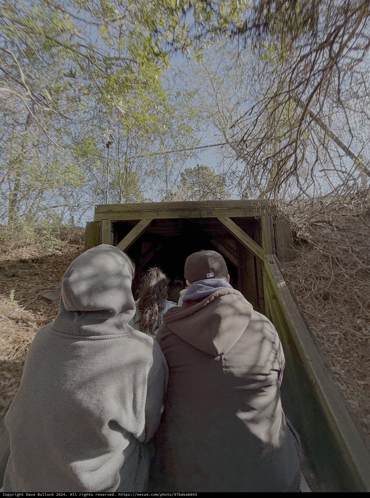 Wildlife Observers at Nature Blind Shelter