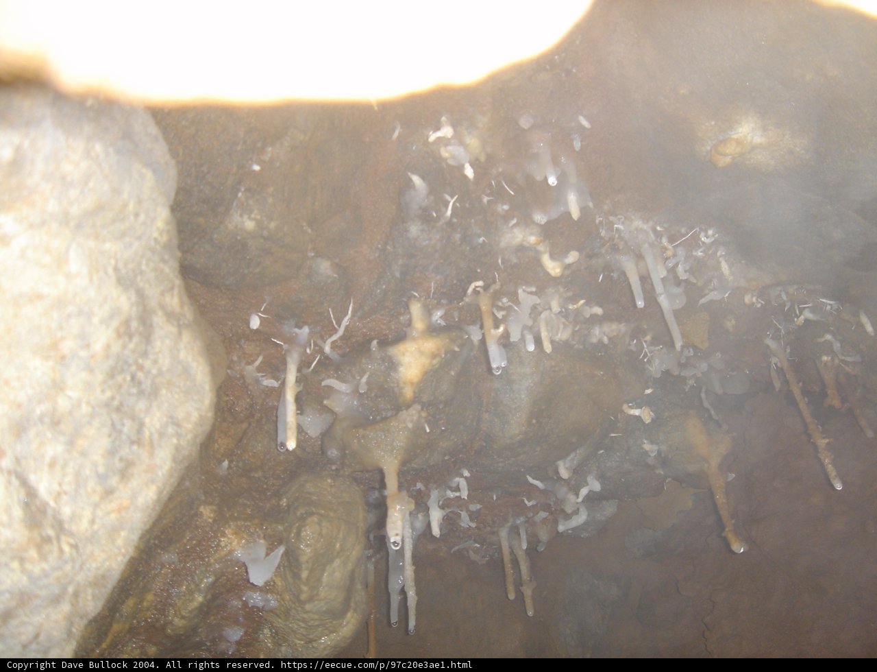 Frozen Jewels