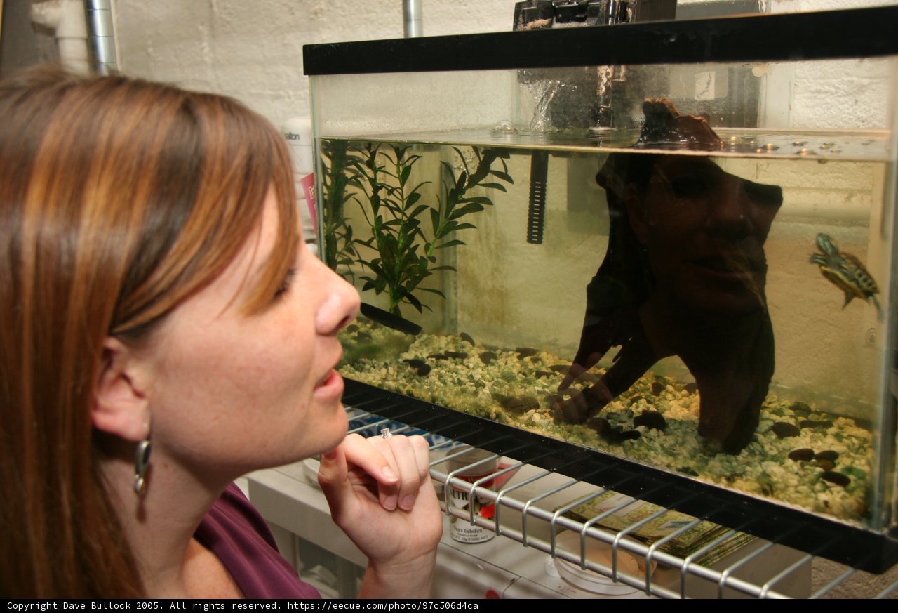 Observing Aquatic Life