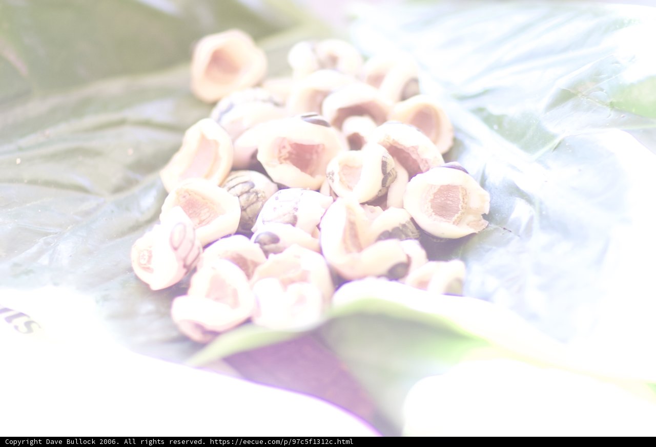 Bountiful Beans