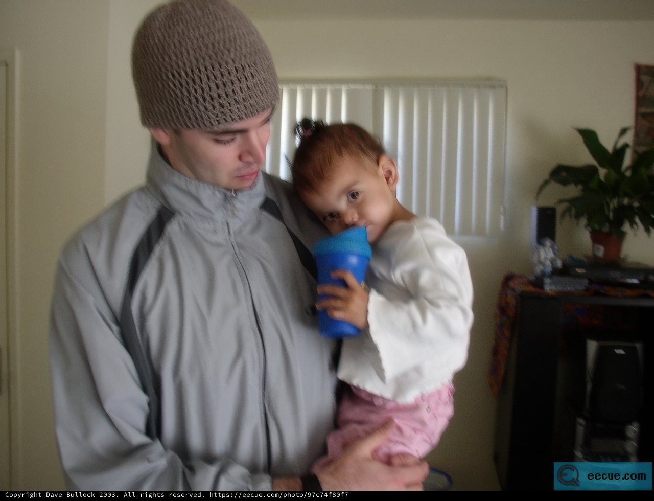 Fatherhood Essentials