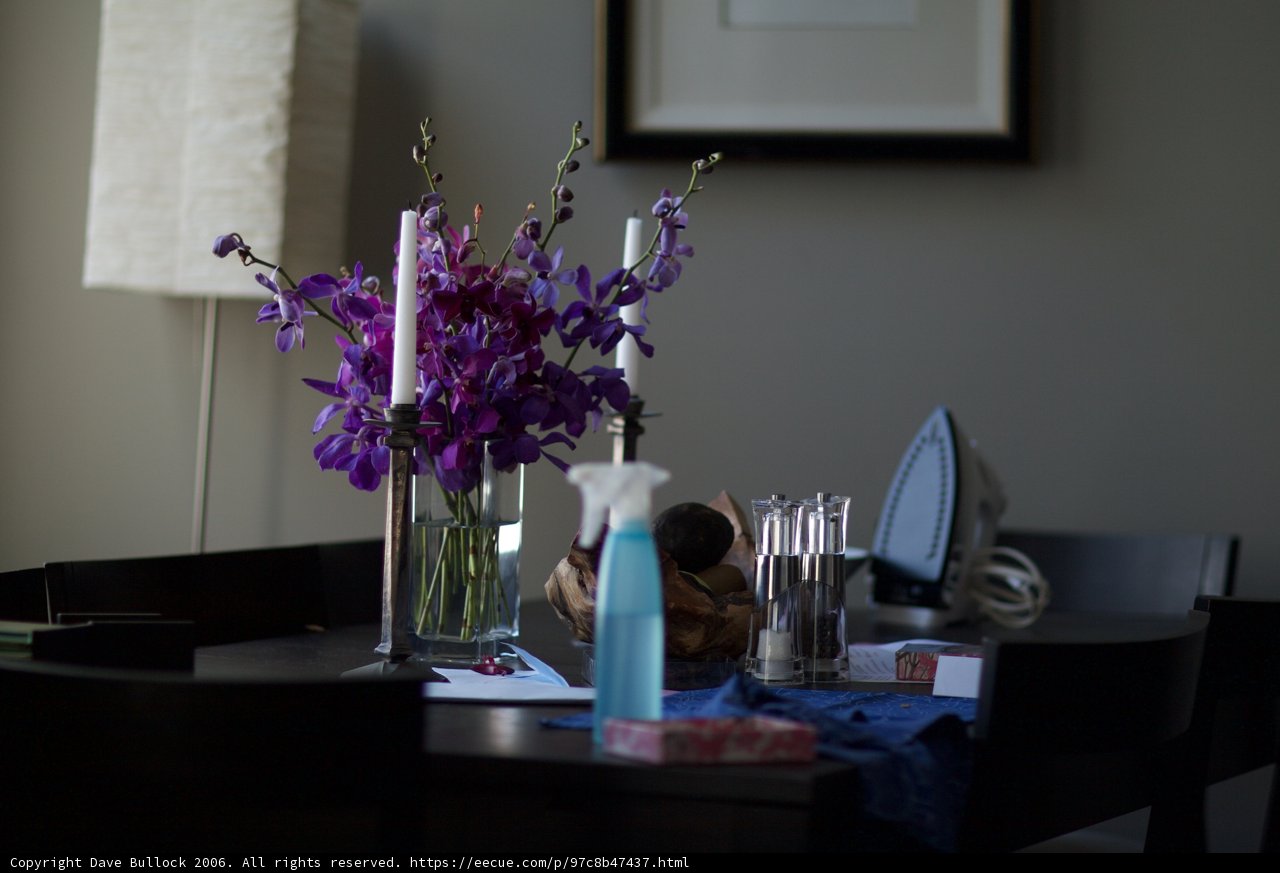 Purple Perfection