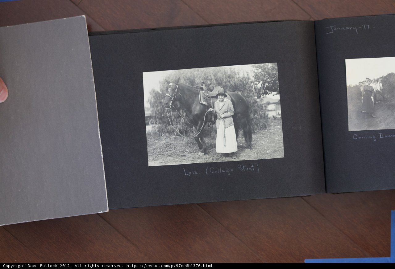 People and Horses in a Captivating Book