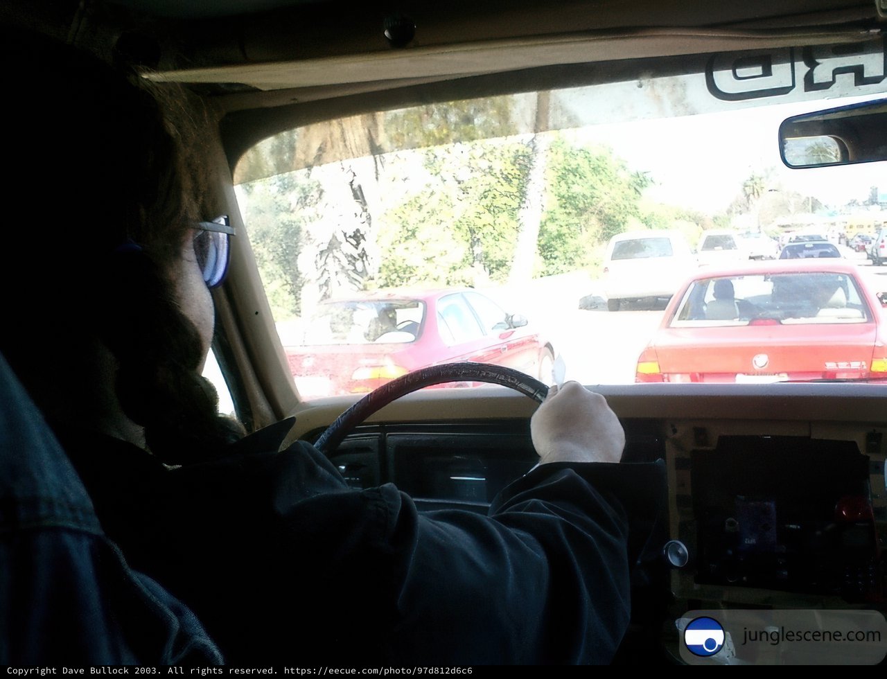 Truck Driver in the Bustling City