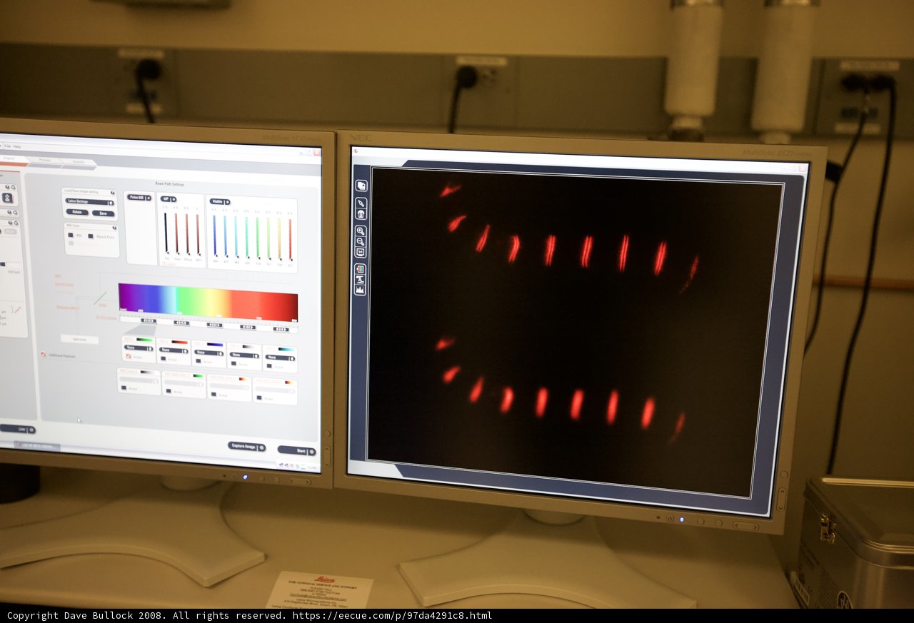Dual-Tone Display
