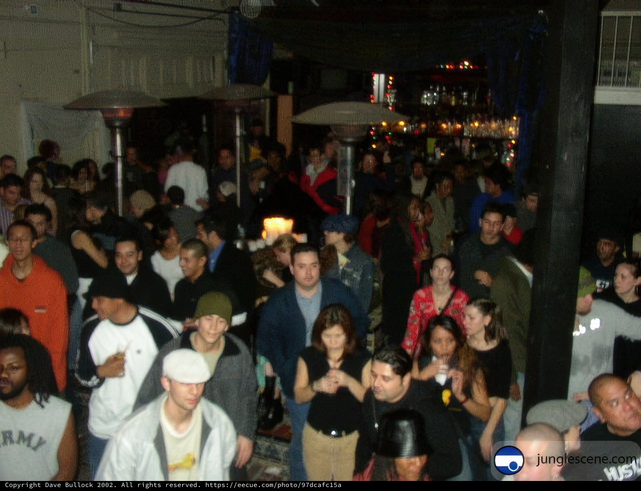 Nightlife Fun at Crowded Nightclub