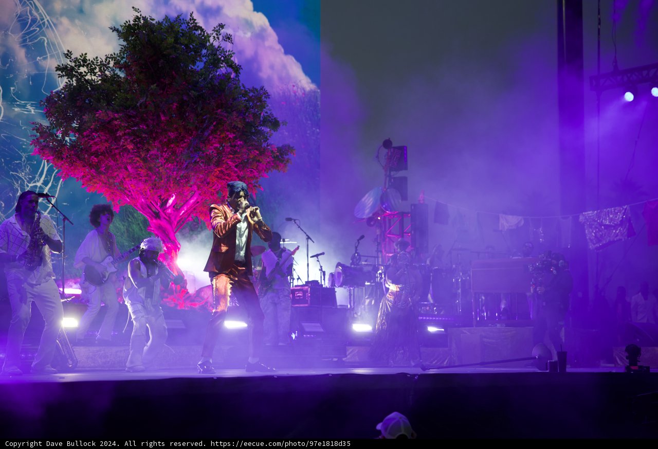 Electric Vibes Under Crimson Trees – Coachella 2024