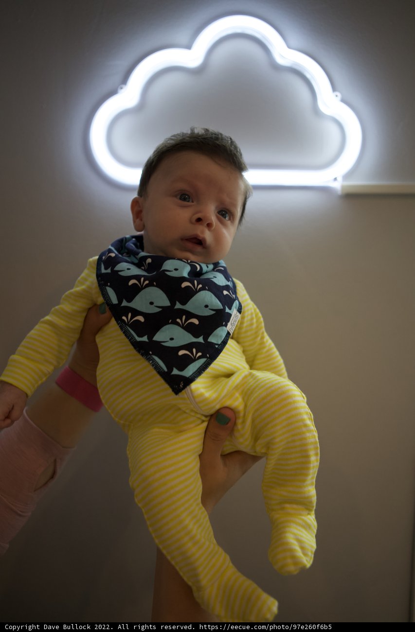 Neon Nights with Baby Wesley