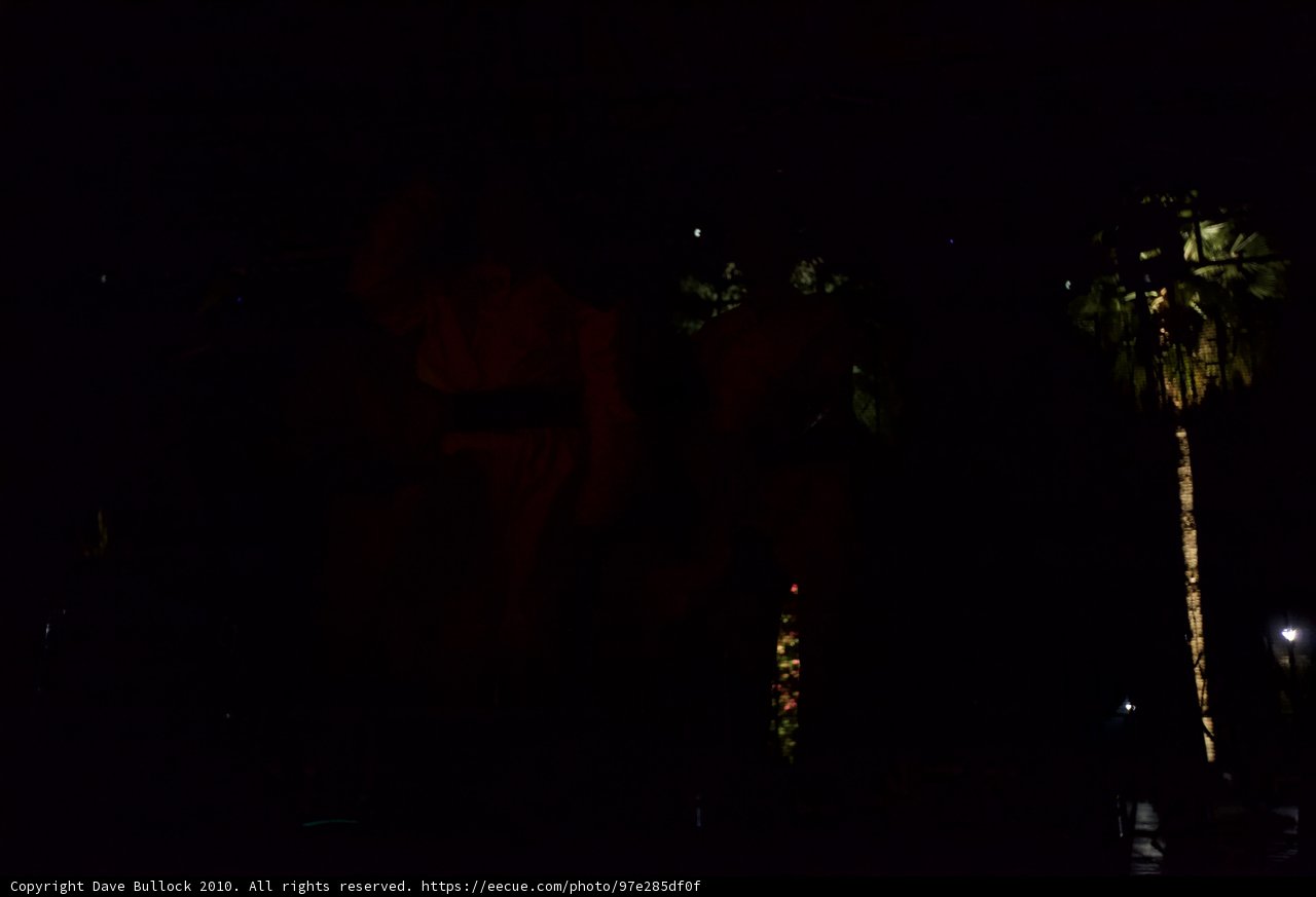 Nightlife among the Palms