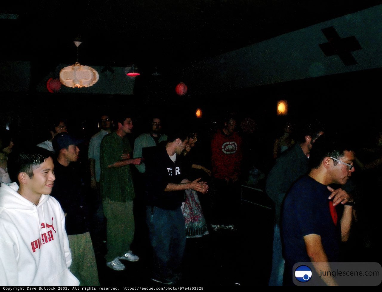 Nightclub Crowd