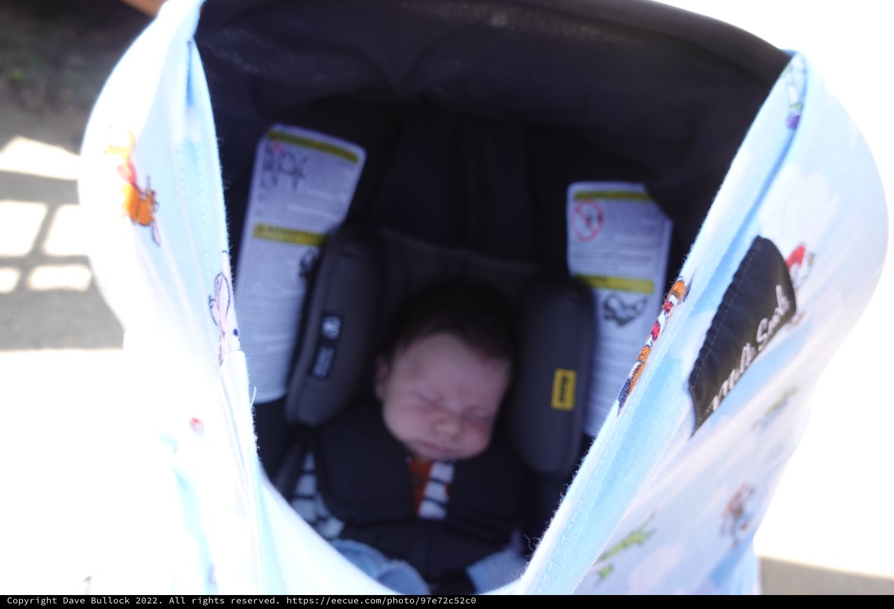 Baby Wesley in Car Seat Stroller