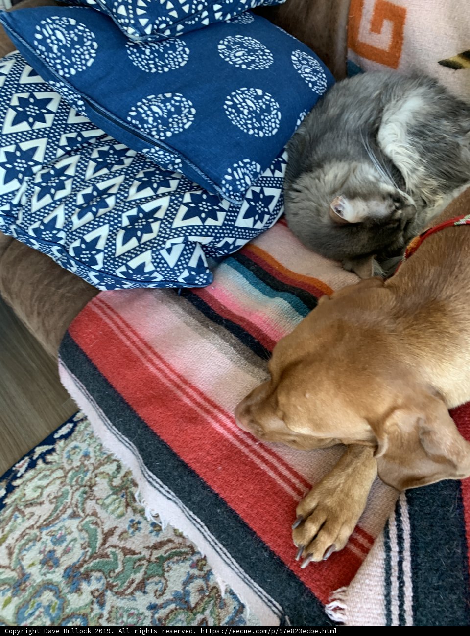 Home décor companions
