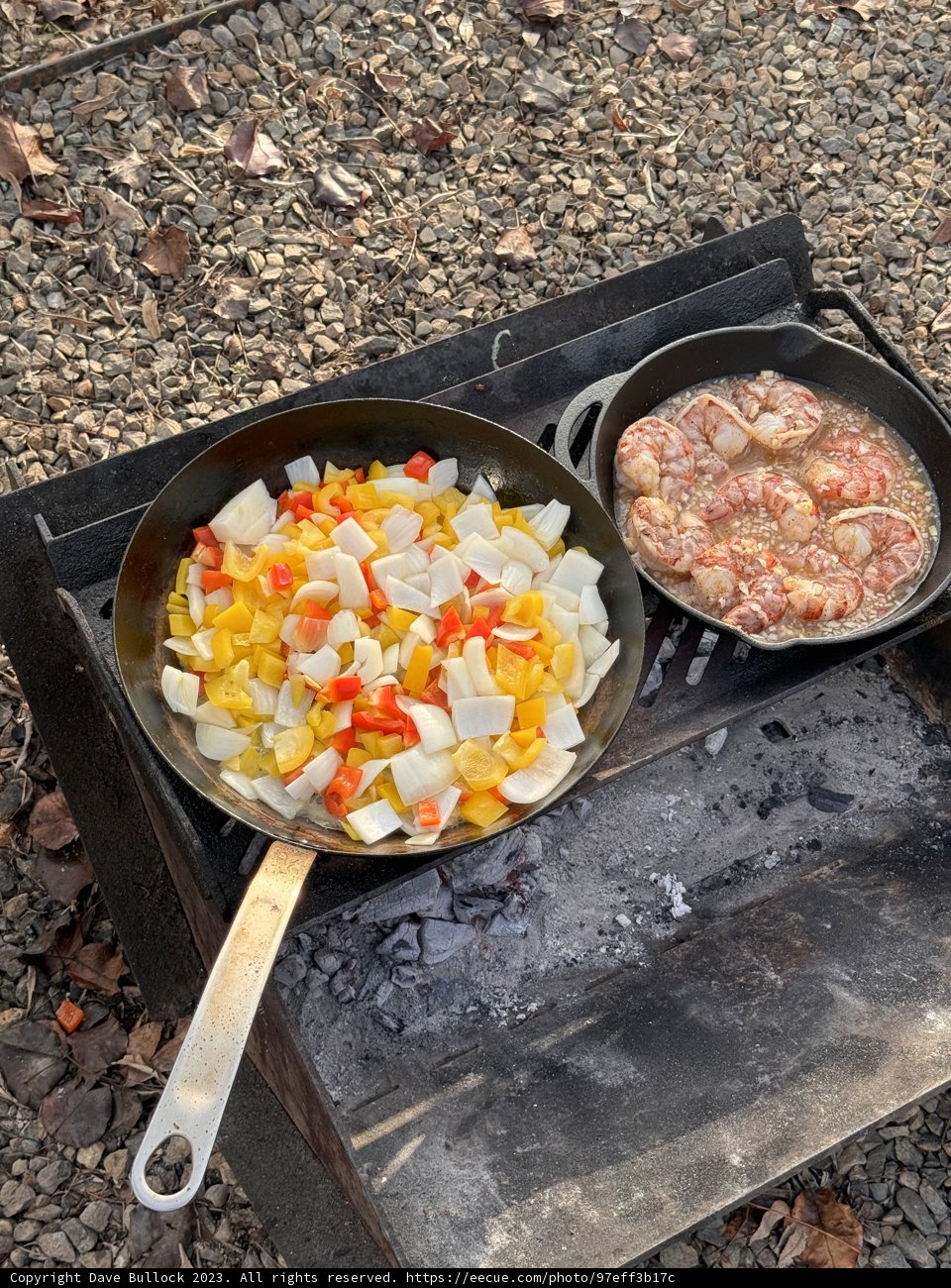 Campfire Cooking Adventure