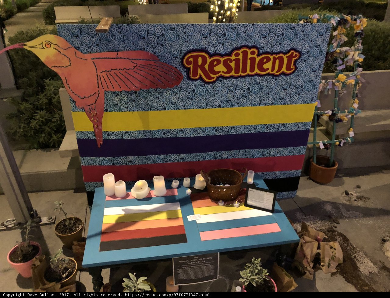 Resilience in Nature