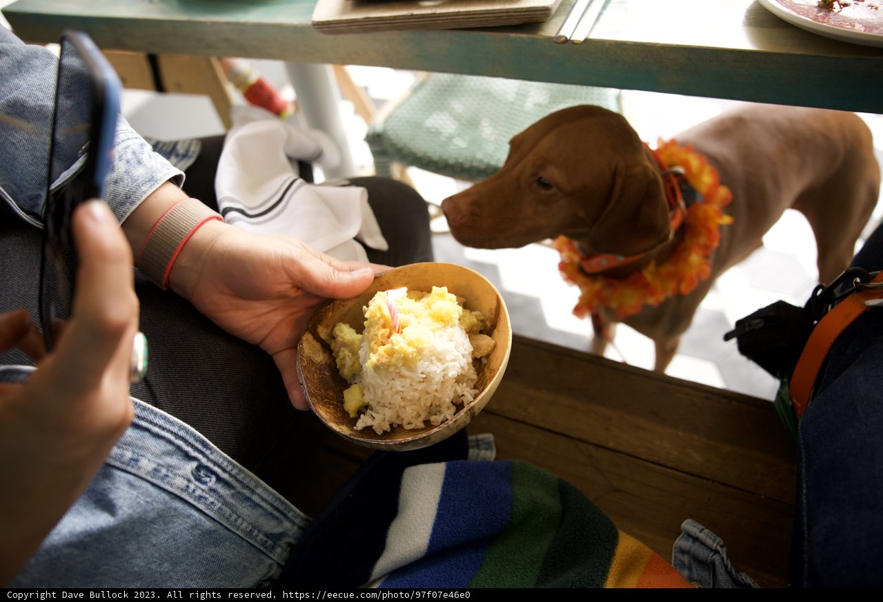 A Cozy Meal in San Francisco