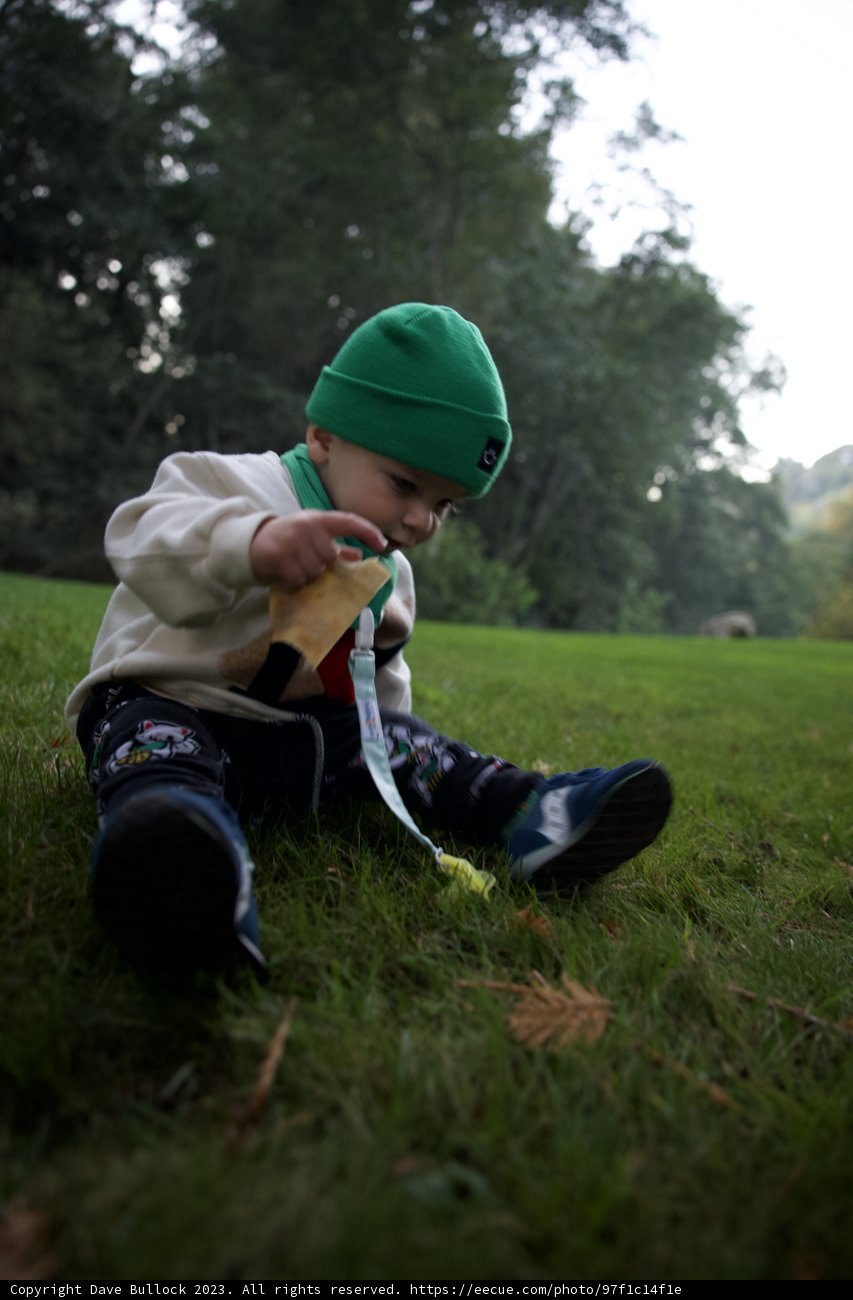 The Explorer - Wesley's Big Sur Adventure