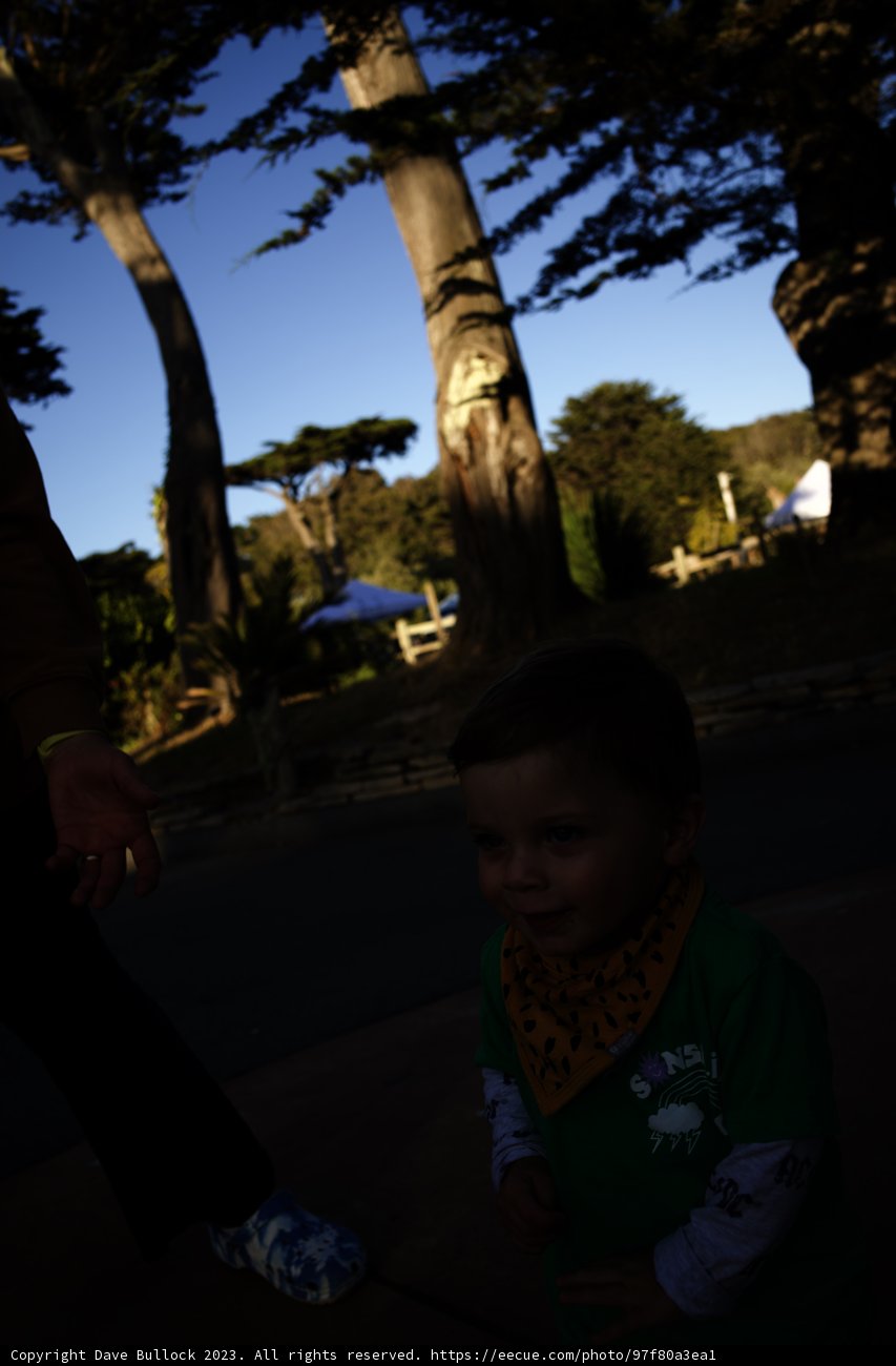 Embracing Nature: A Boy's Adventure in Dolores Park