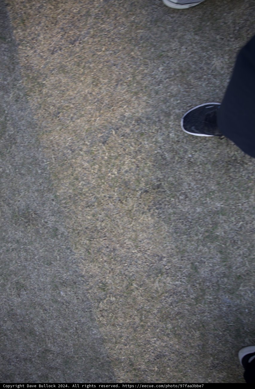 Steps on the Move: Coachella 2024