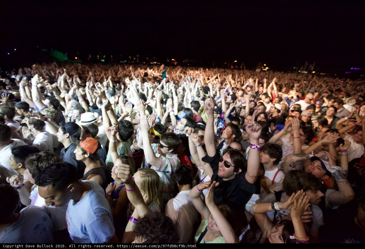 Music Festival Madness