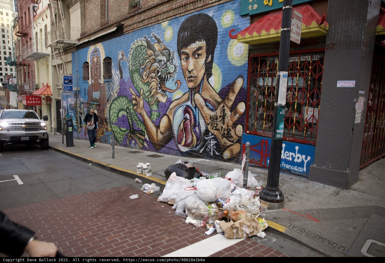 Transitory Moments on San Francisco Streets